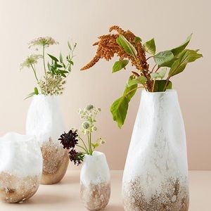 ISO Lg Snow-Capped Vase by Anthropologie